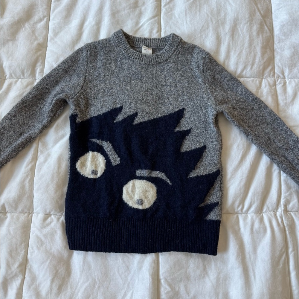 Crewcuts Boys Wool Sweater